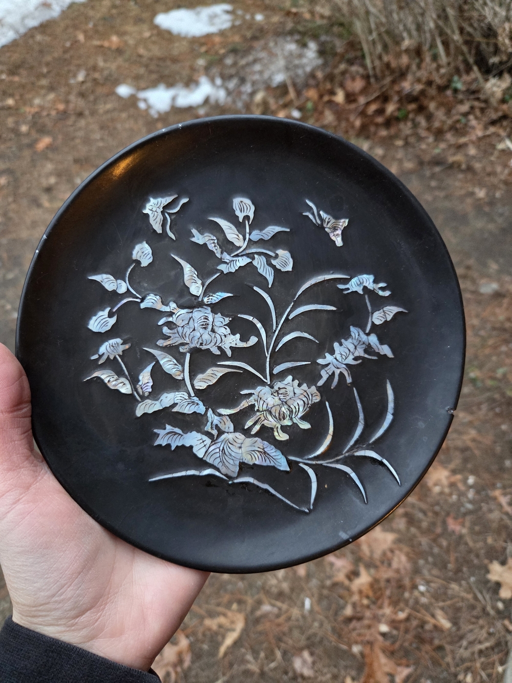Vintage Asian Mother Of Pearl Lacquer Plate